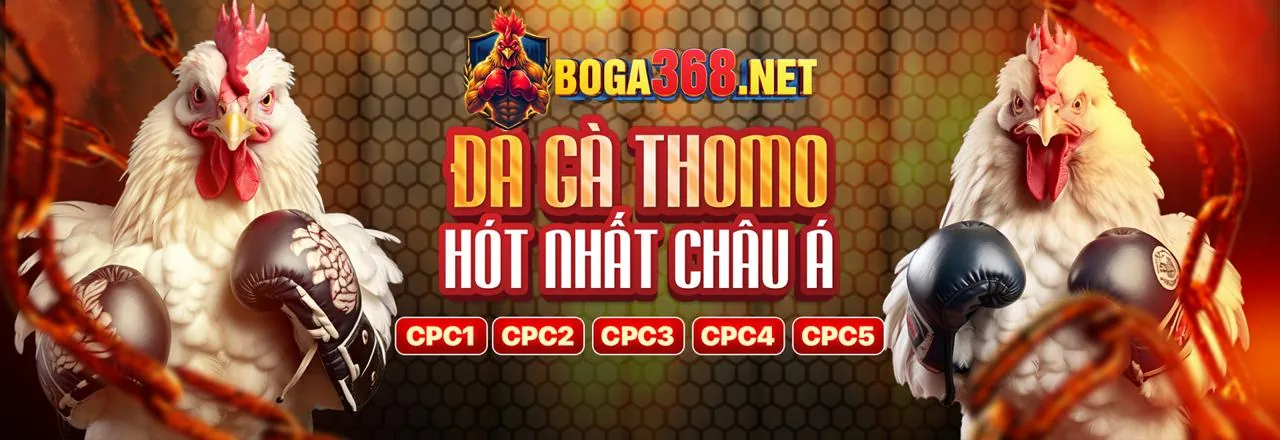 Hình ảnh chính bet188 login